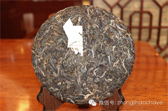 中吉號茶王樹