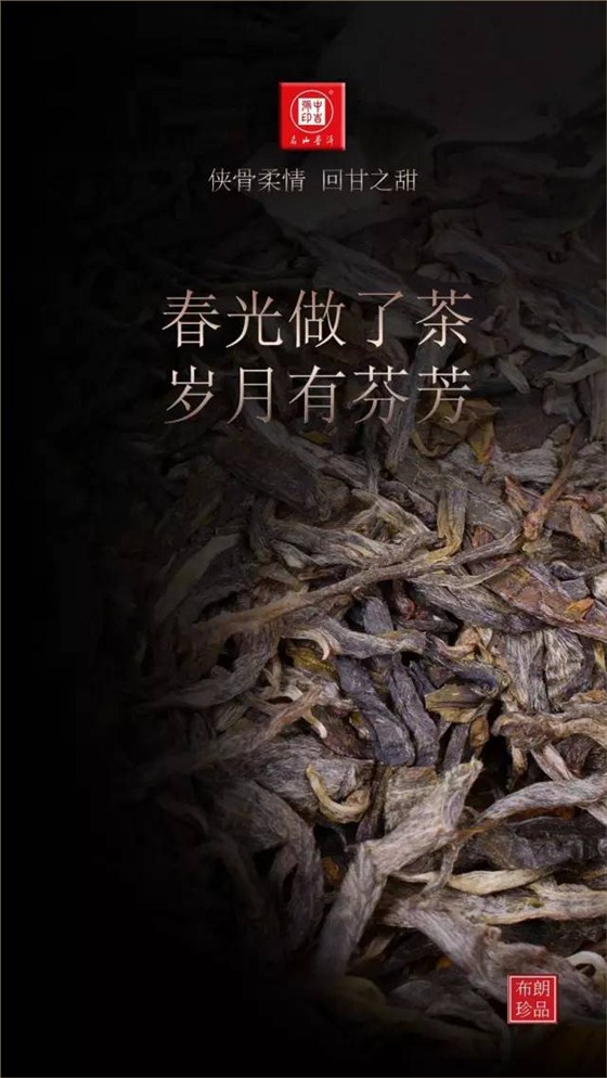 古樹(shù)茶布朗珍品