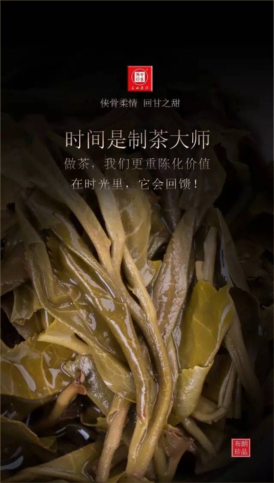 古樹(shù)茶布朗珍品