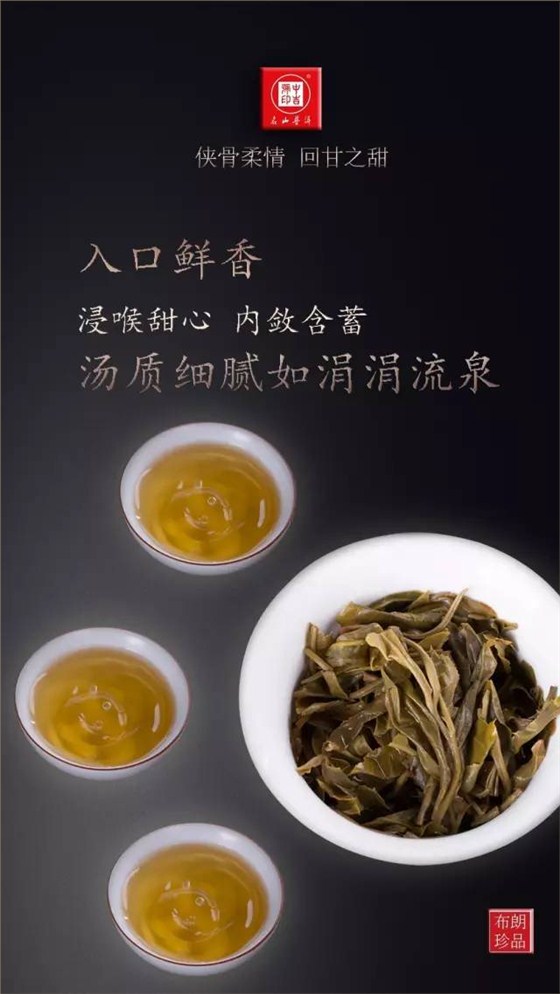 古樹(shù)茶布朗珍品