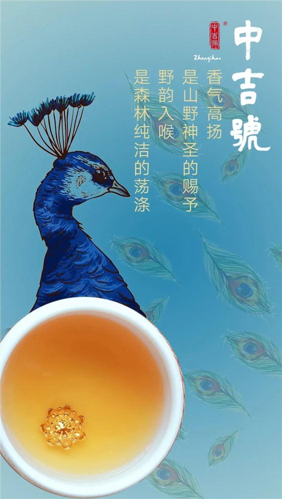 藍(lán)印孔雀普洱茶