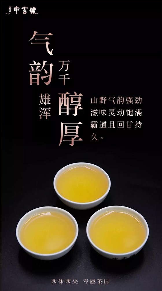 班盆普洱茶價(jià)格