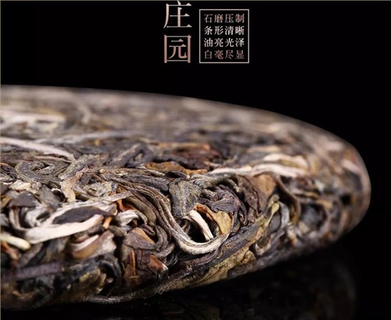 云南普洱茶品質(zhì)