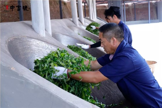 中吉號(hào)老班章普洱茶