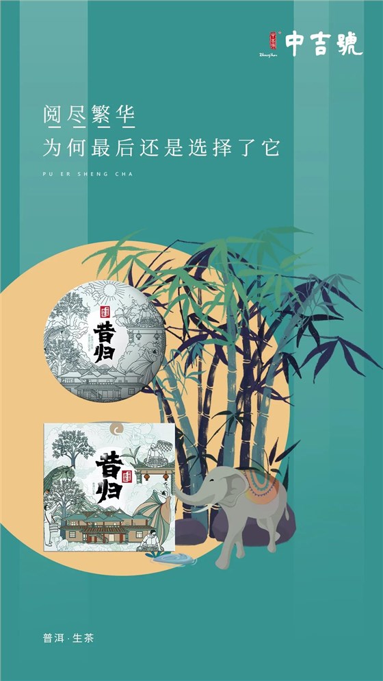 中吉號昔歸古樹茶