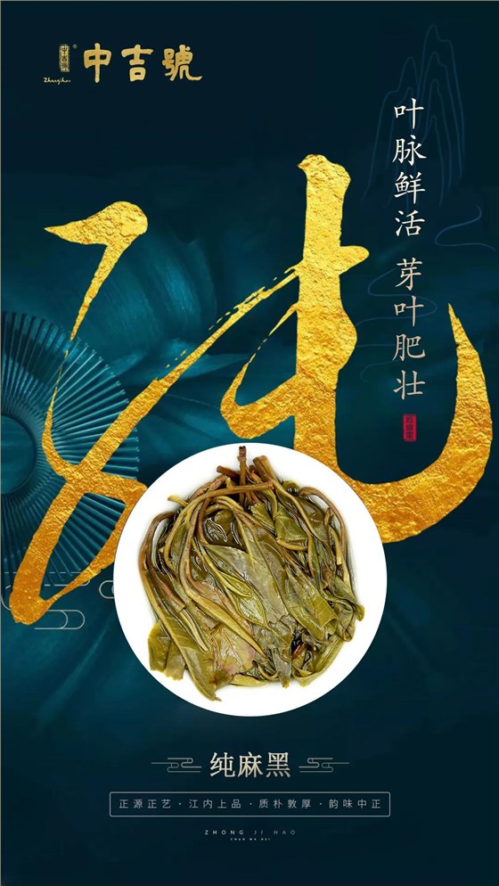 中吉號純麻黑普洱茶