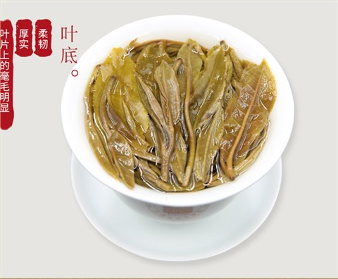 中吉號古樹茶 - 老班章2019