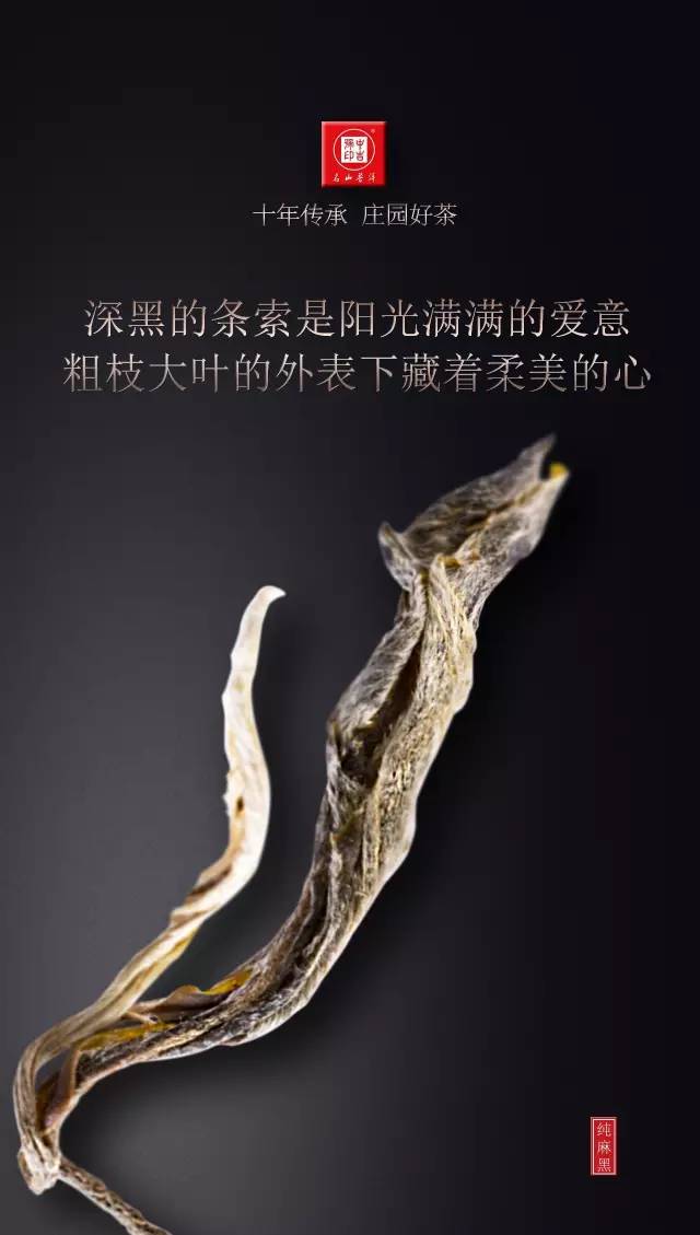 古樹茶純麻黑普洱茶