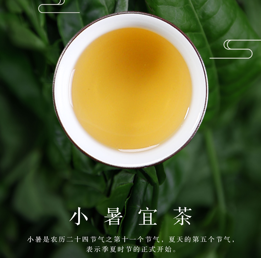 云南普洱茶