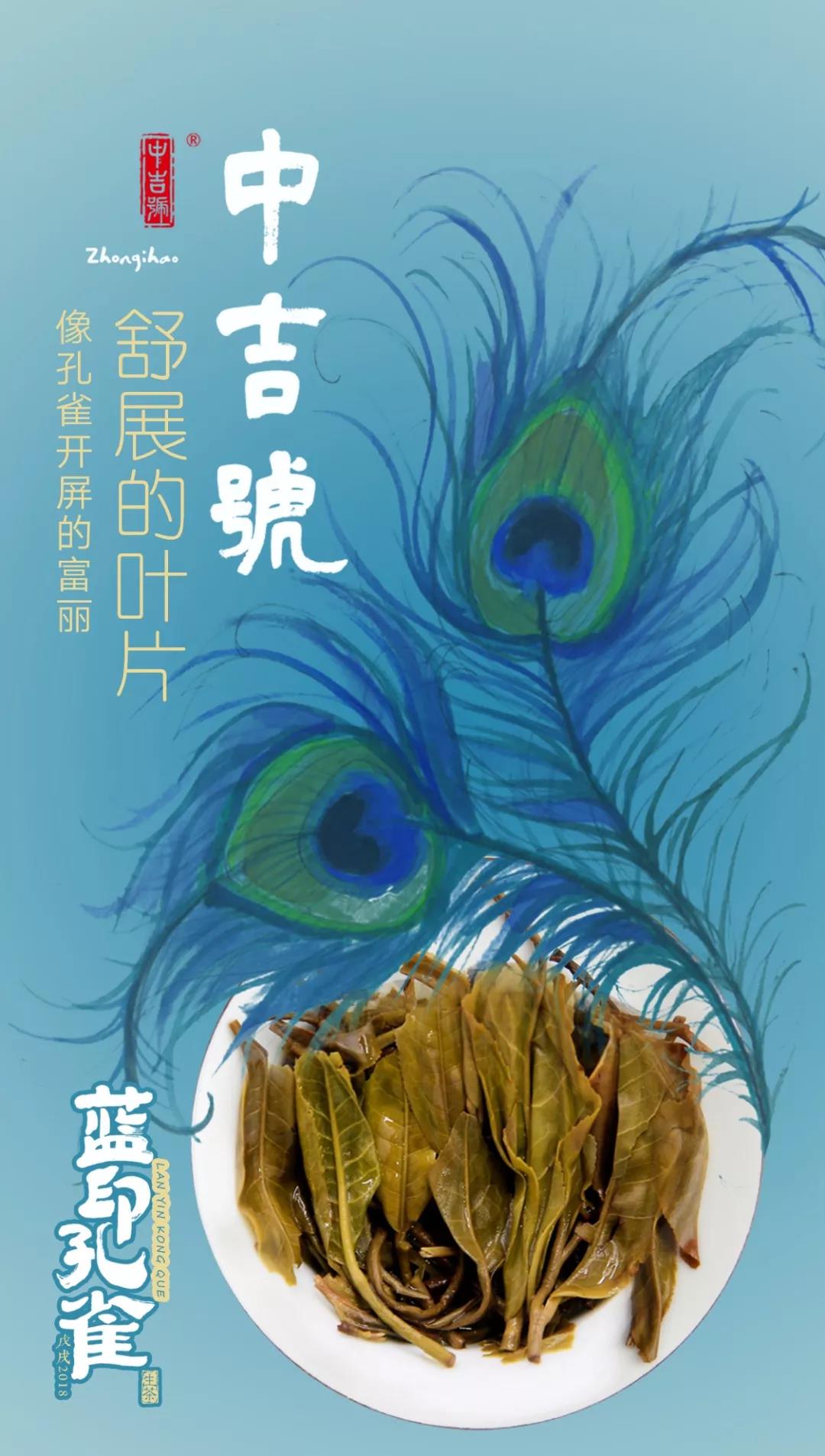 藍印孔雀普洱茶