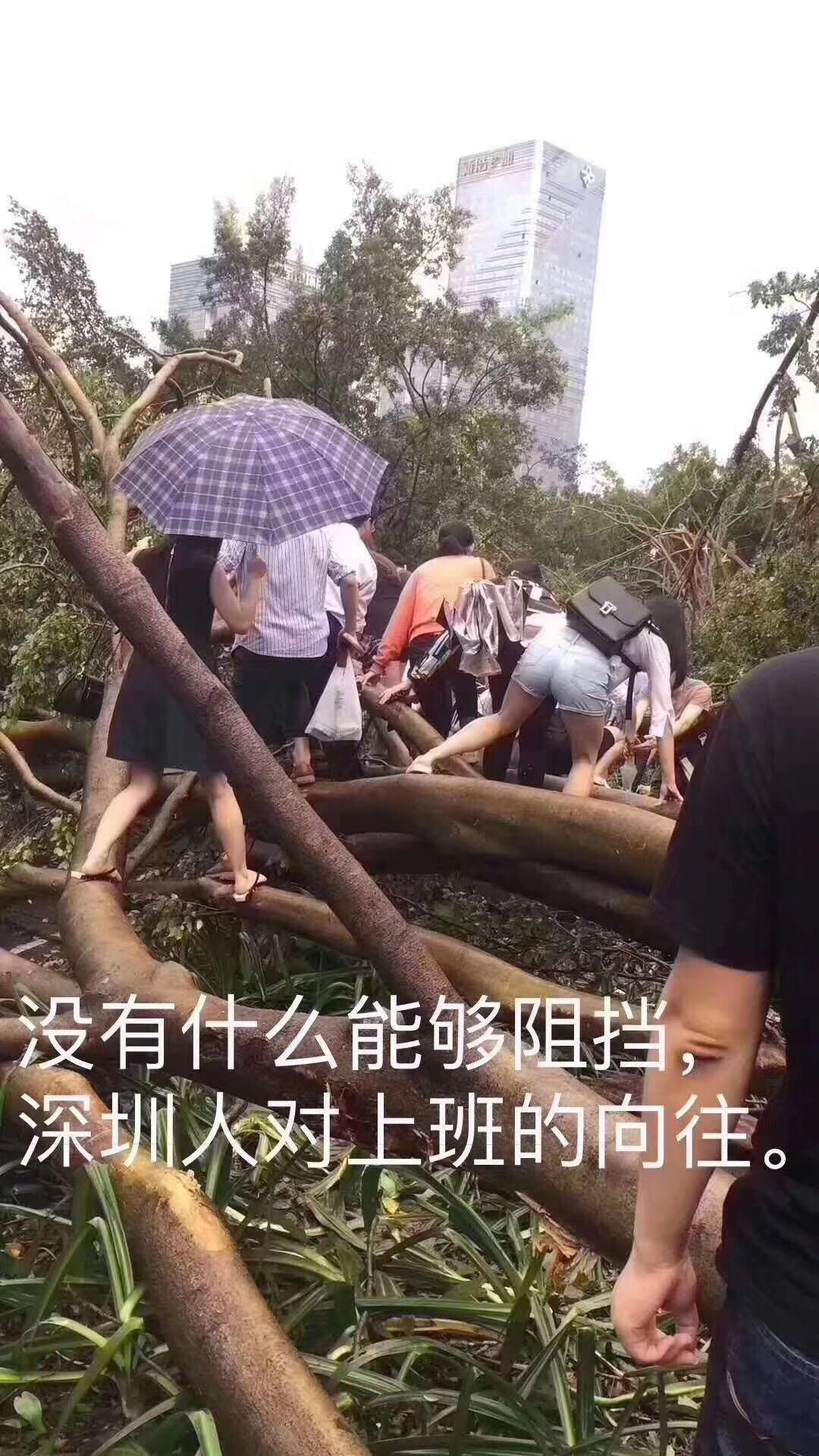 深圳臺風