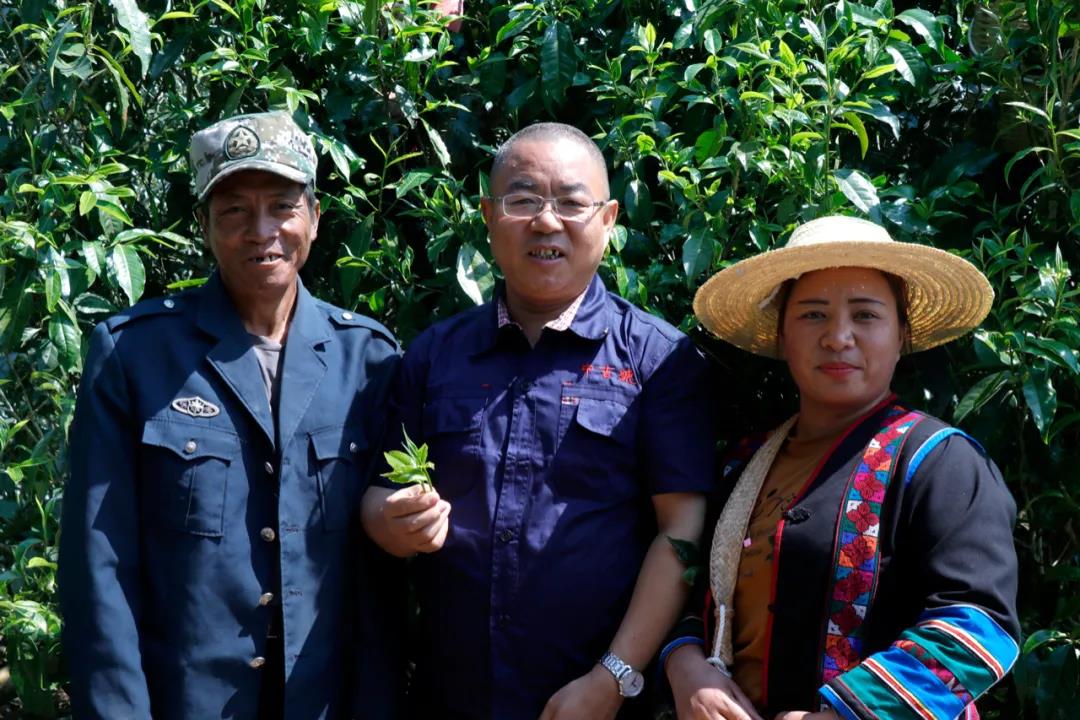 中吉號(hào)老班章普洱茶