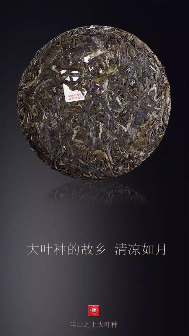 中吉號古樹茶