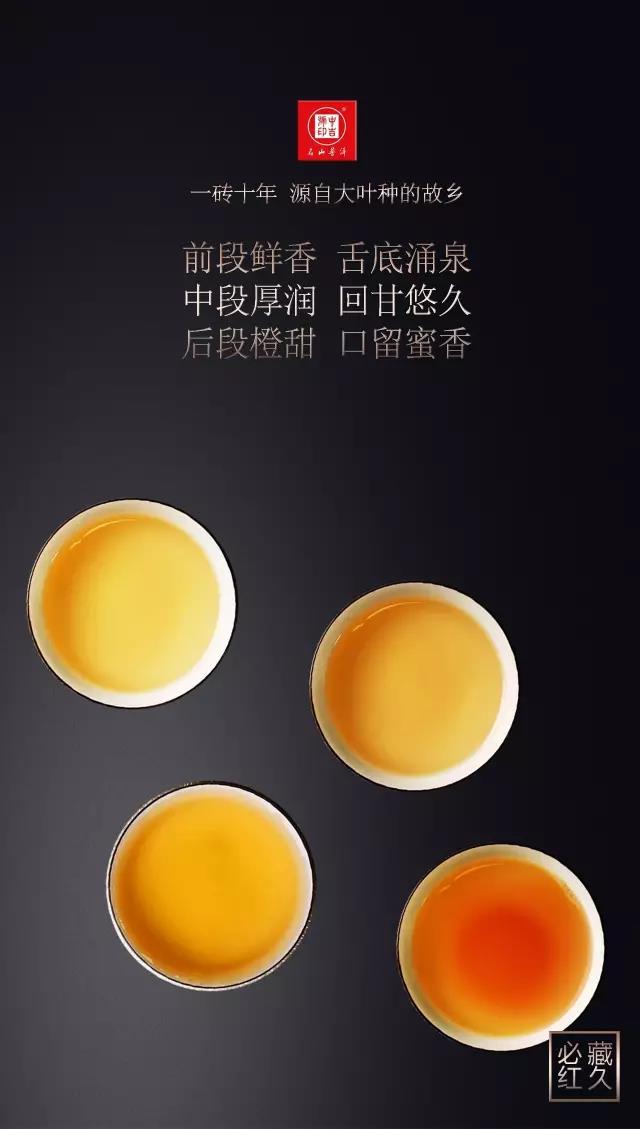 中吉號古樹茶